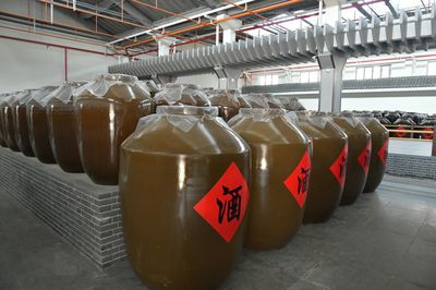 胡新利深入城固酒業公司調研，聚焦產業發展與品牌提升